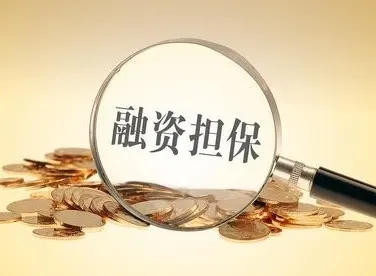 保函最新政策方针-国务院办公厅等多部门发文支持保...